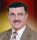 Dr. Diaa Mohamed Elmowafi