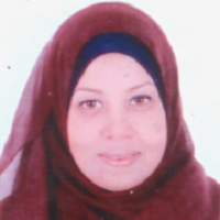 Dr. Dina Mohamed Mohamed Hamza
