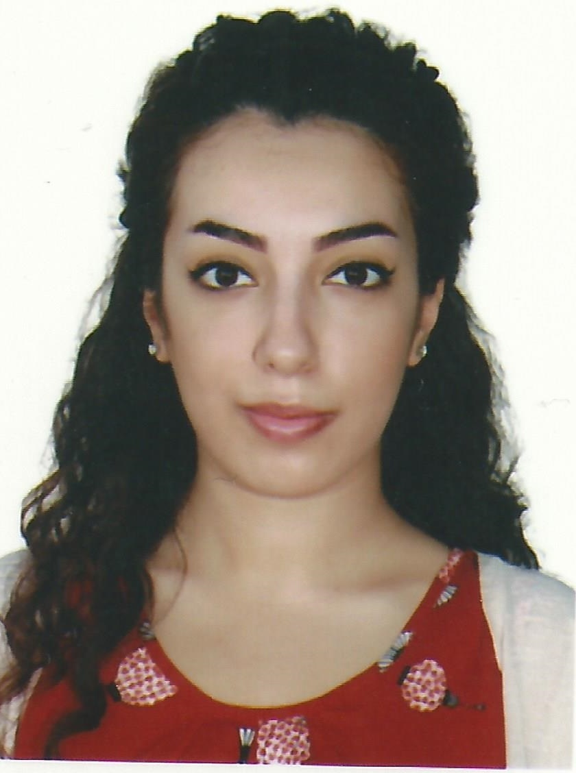 Dr. Niloofar Rafiei