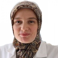 Dr. Shahnaz Dibo