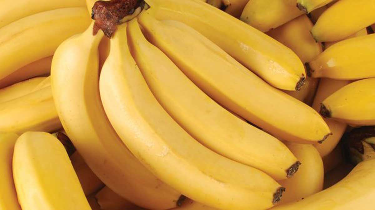 Amazing Health Benefits of Banana The Health Blog Fidoc